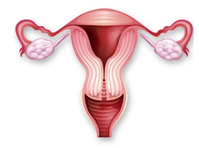 Abnormal Uterus Treatment abnormal uterus treatment