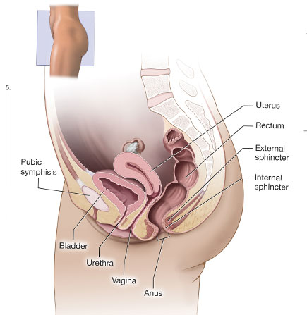 Urology Hospital best urology hospital in coimbatore