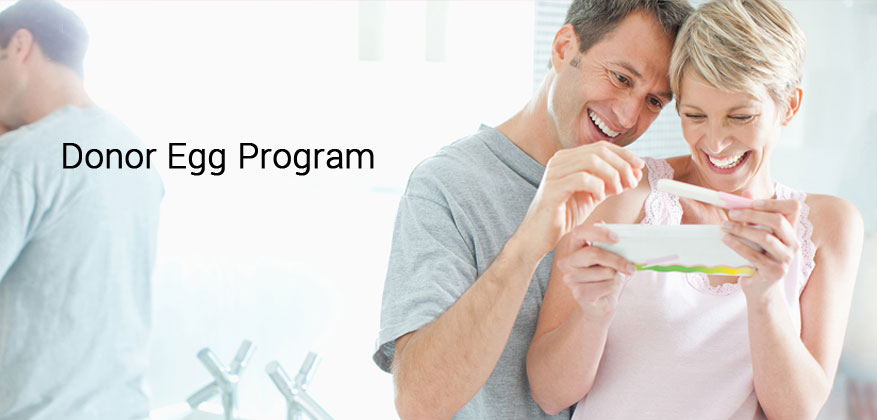 Egg Donor Program Tamilnadu donor egg program tamilnadu