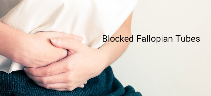 Fallopian Tube Surgery in India Procedure for fallopian tube testing